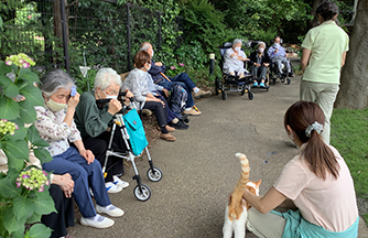 スライドショー画像