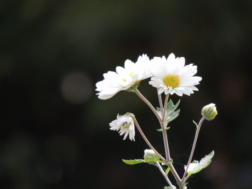 テスト投稿４テキストテキストテキストテキストテキストテキストテキストテキストテキストテキスト