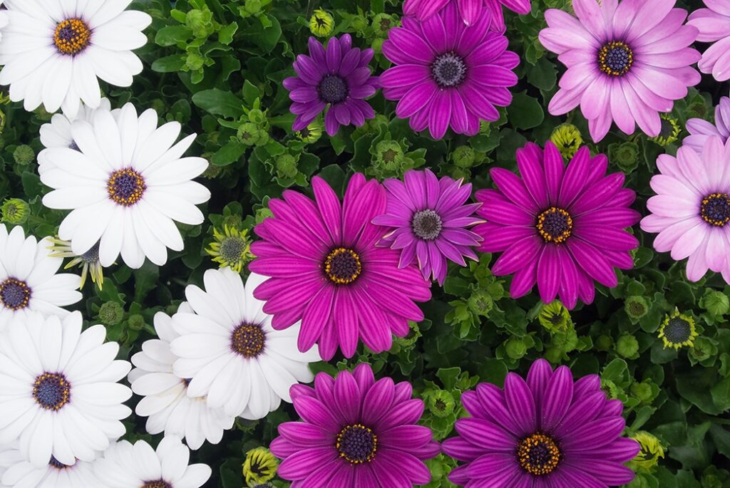 テスト投稿６入力サンプル